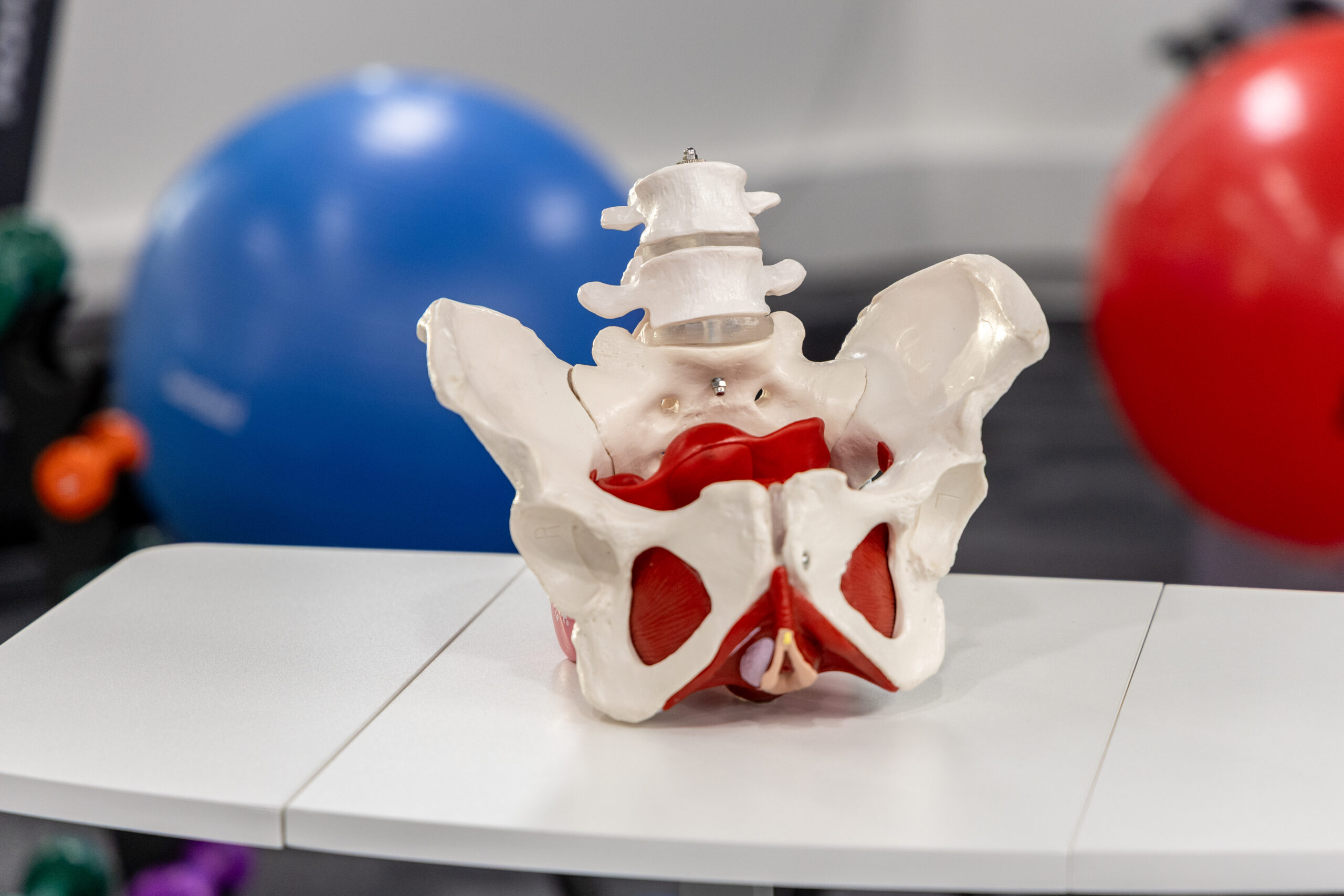 Pelvic-Floor-Therapy-Ace-Physique-Calgary-AB